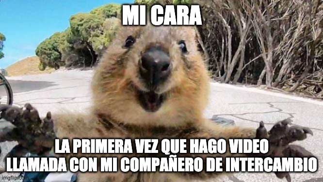 Mi cara