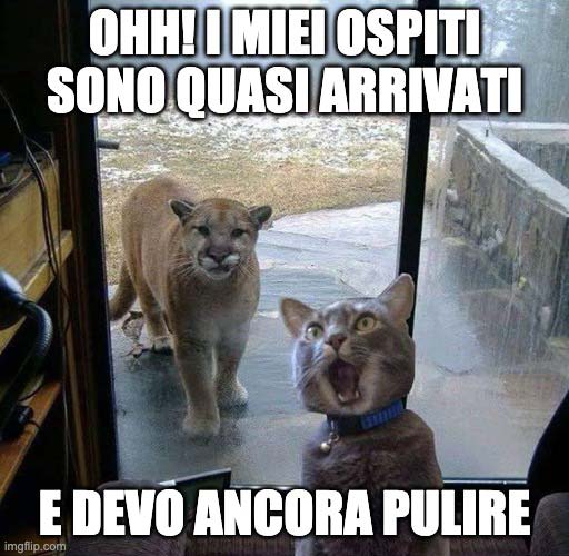 My guests are almost here