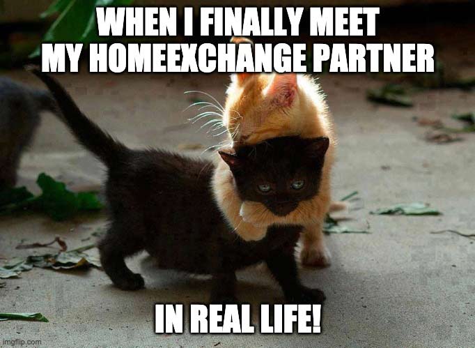 When I finally meet