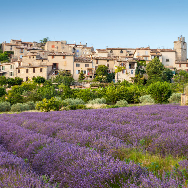 partir-pas-cher-juillet-campagne-echange-maison
